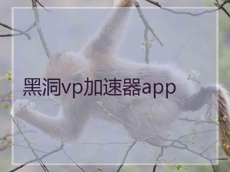 黑洞vp加速器app