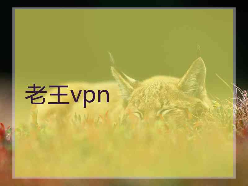 老王vpn