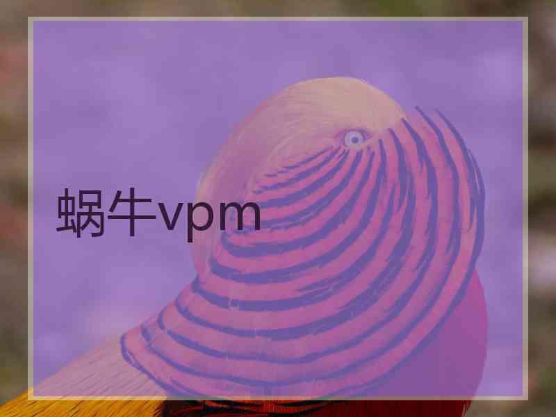 蜗牛vpm