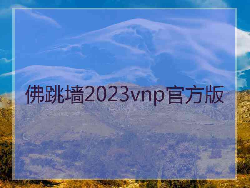 佛跳墙2023vnp官方版