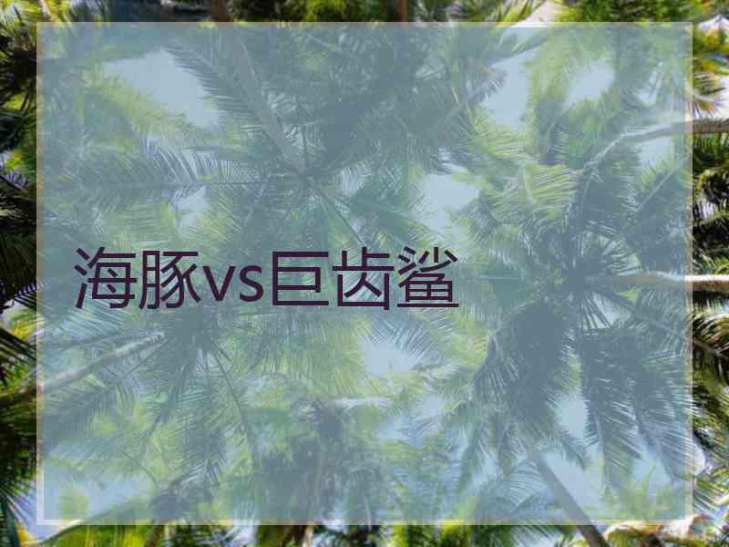 海豚vs巨齿鲨