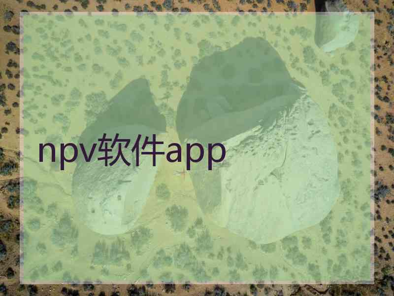 npv软件app