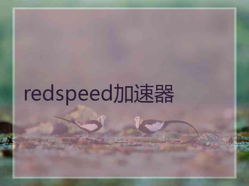 redspeed加速器