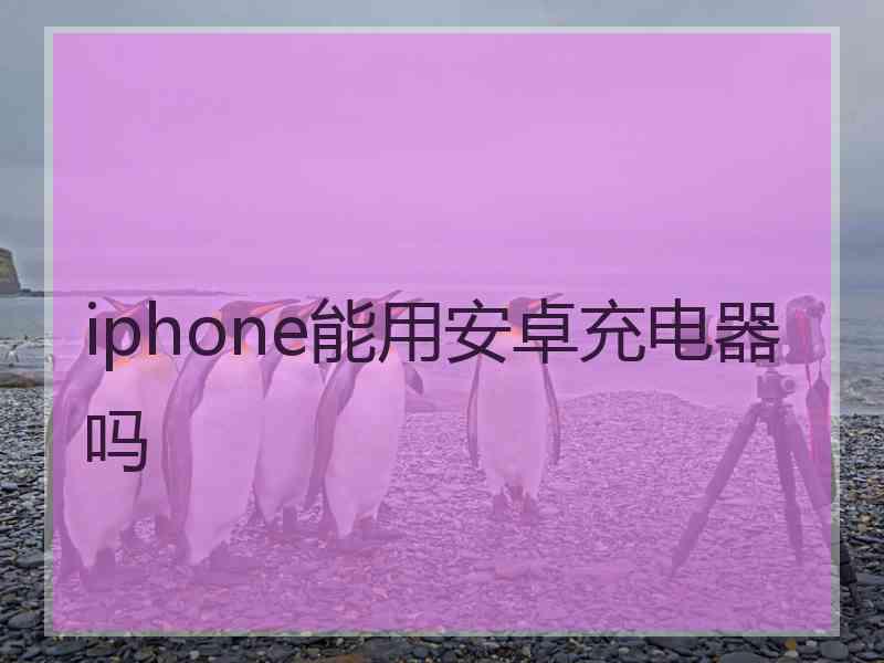 iphone能用安卓充电器吗