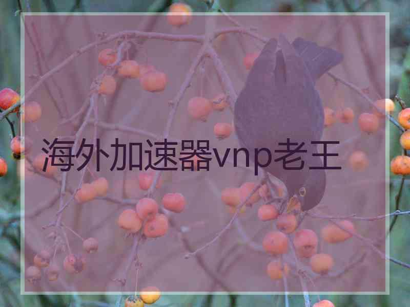 海外加速器vnp老王