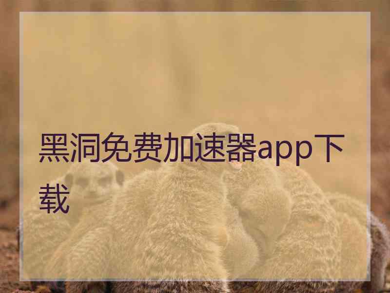 黑洞免费加速器app下载