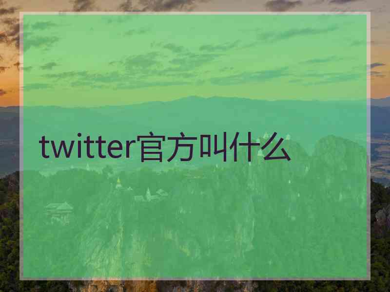 twitter官方叫什么