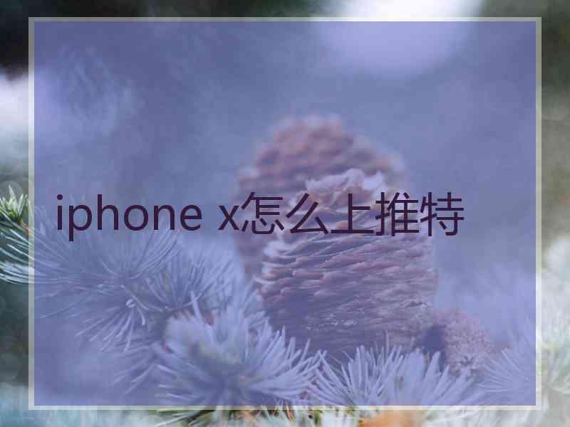 iphone x怎么上推特