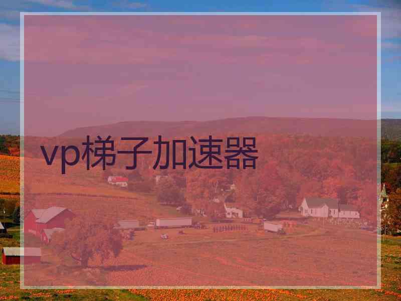 vp梯子加速器