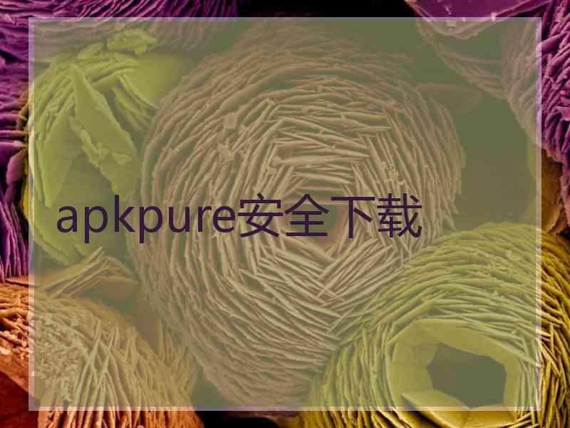 apkpure安全下载