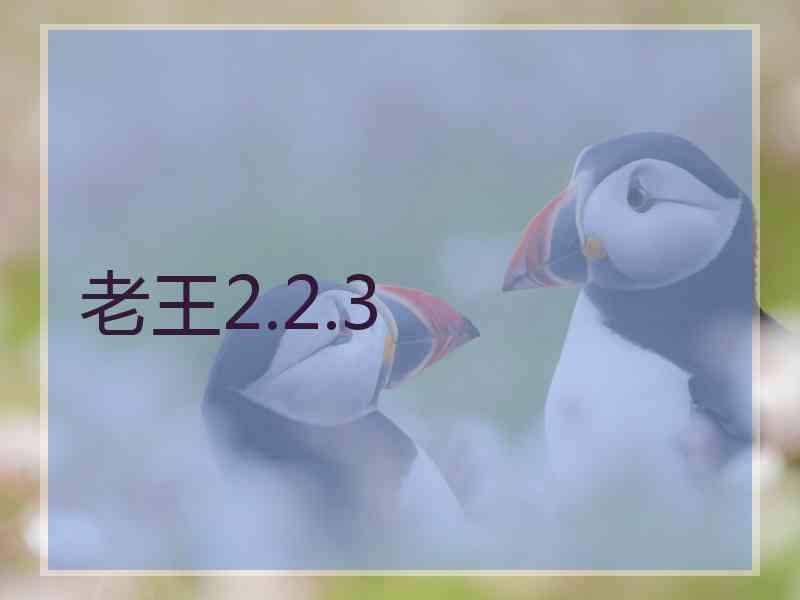 老王2.2.3