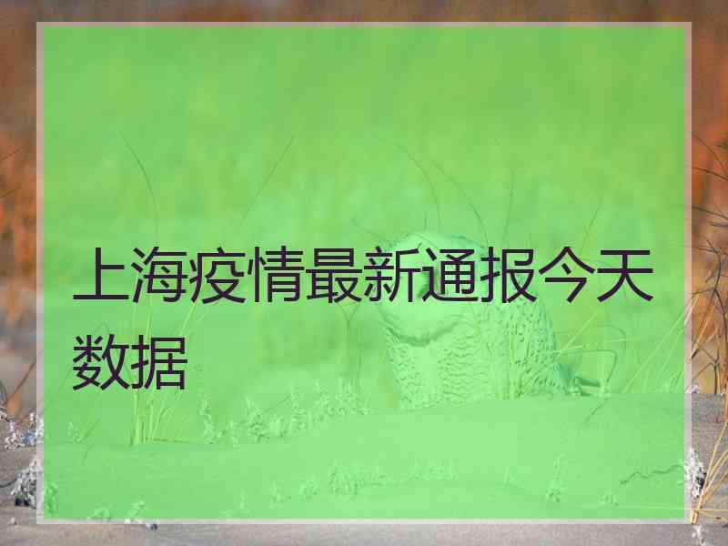 上海疫情最新通报今天数据