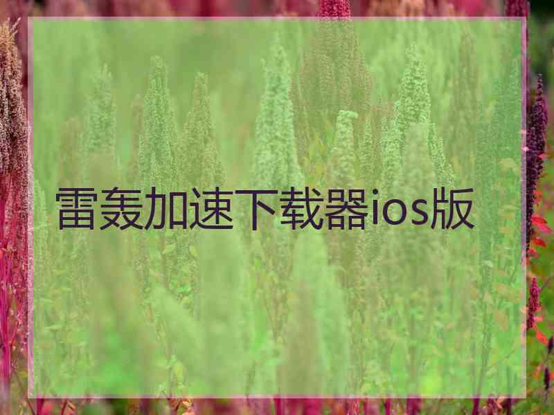 雷轰加速下载器ios版