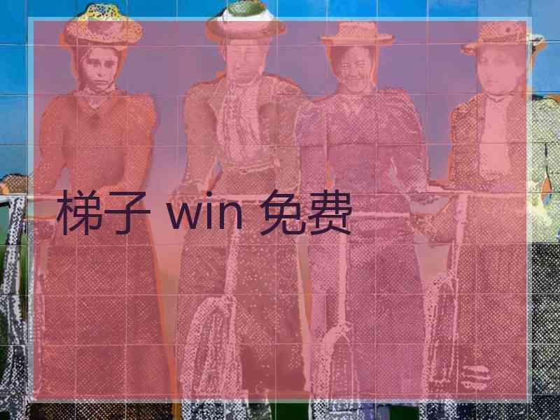 梯子 win 免费