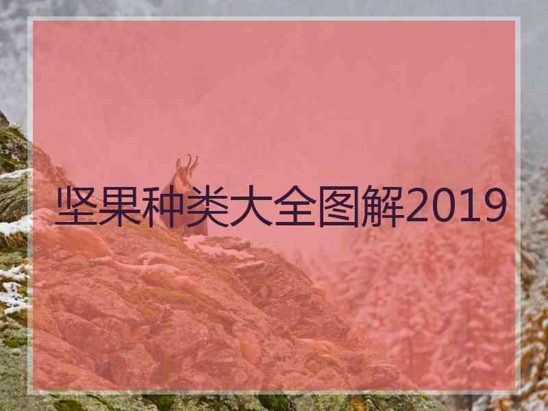 坚果种类大全图解2019