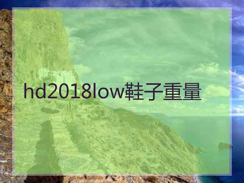 hd2018low鞋子重量