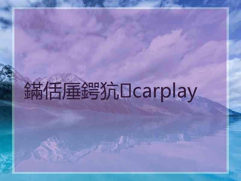 鏋佸厜鍔犺carplay