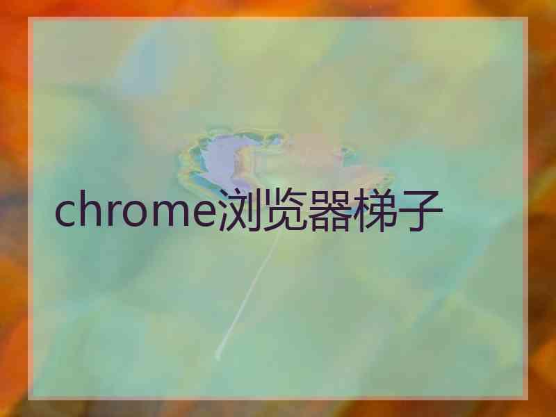 chrome浏览器梯子