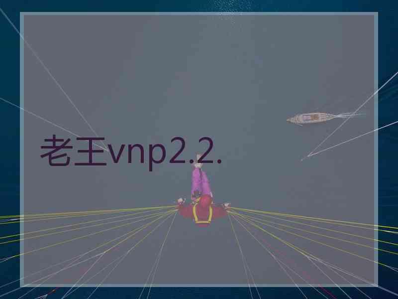 老王vnp2.2.