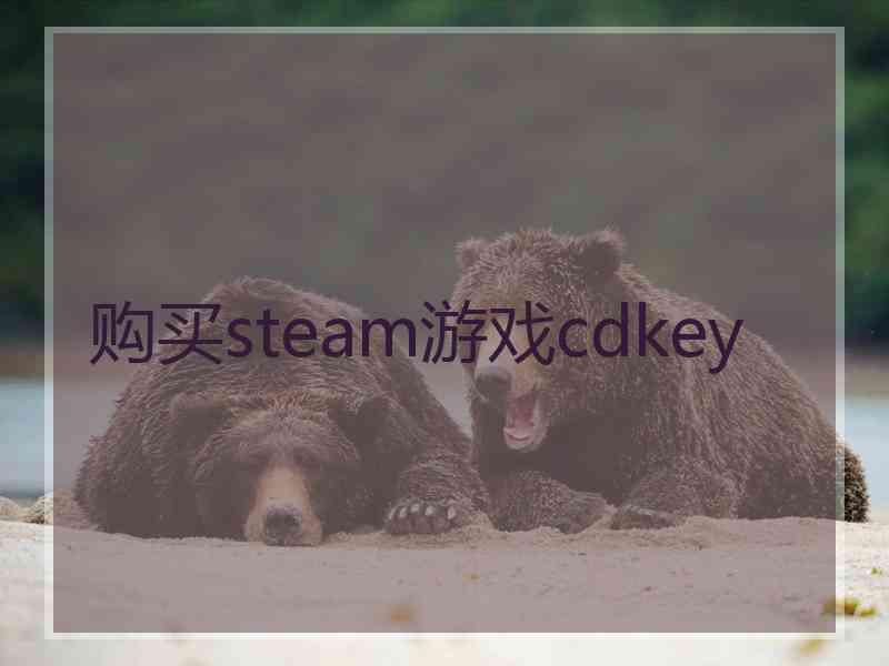 购买steam游戏cdkey