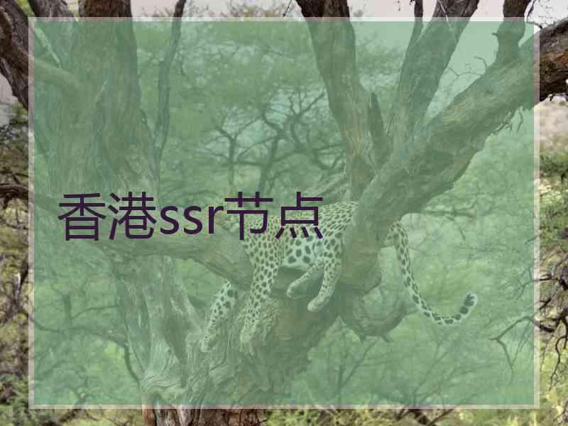 香港ssr节点