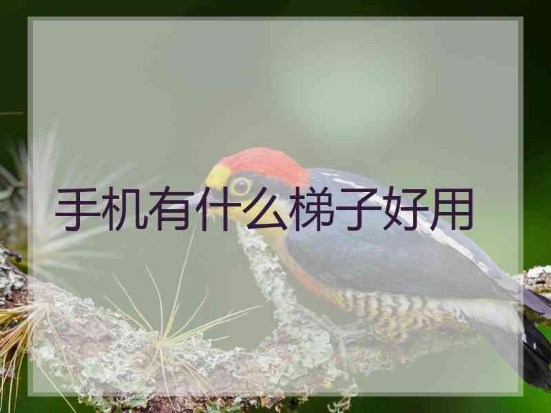 手机有什么梯子好用