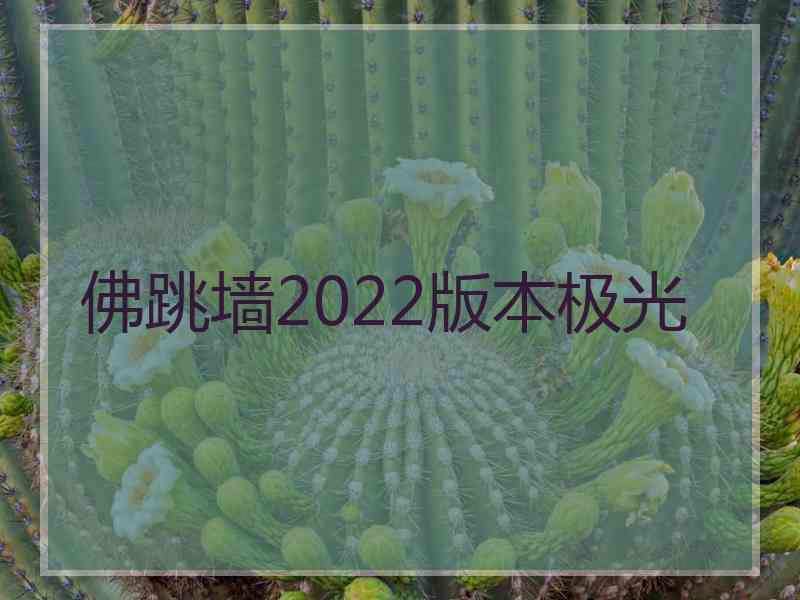 佛跳墙2022版本极光