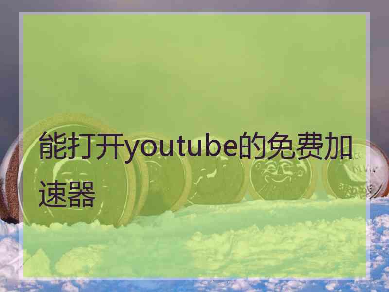 能打开youtube的免费加速器