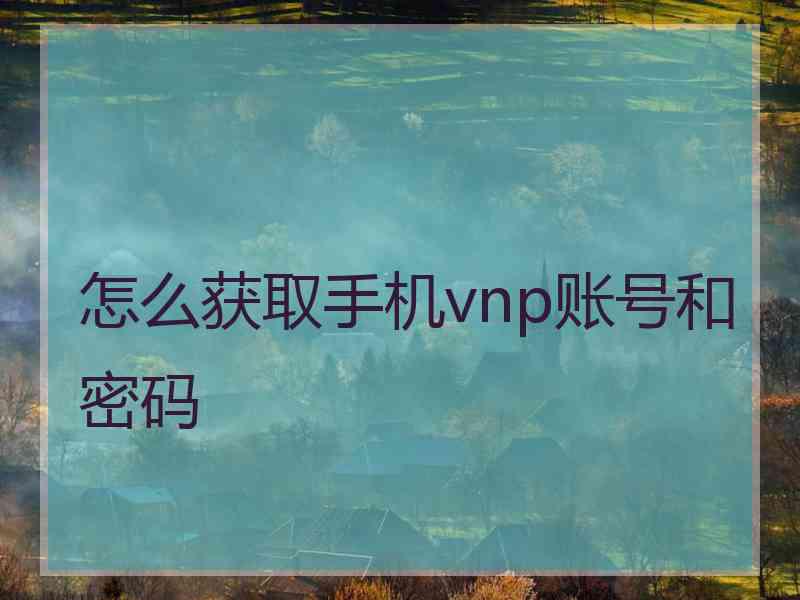 怎么获取手机vnp账号和密码