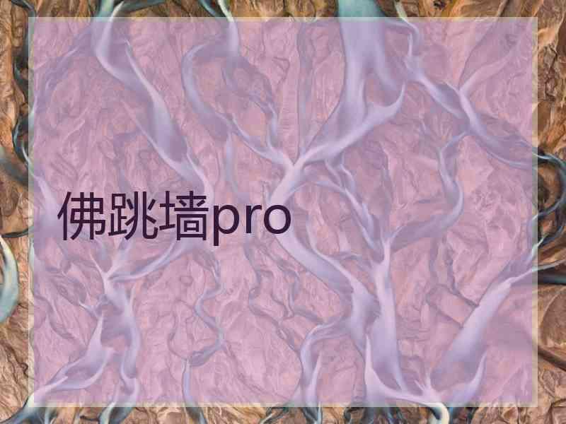 佛跳墙pro