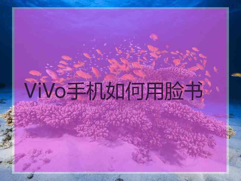 ViVo手机如何用脸书