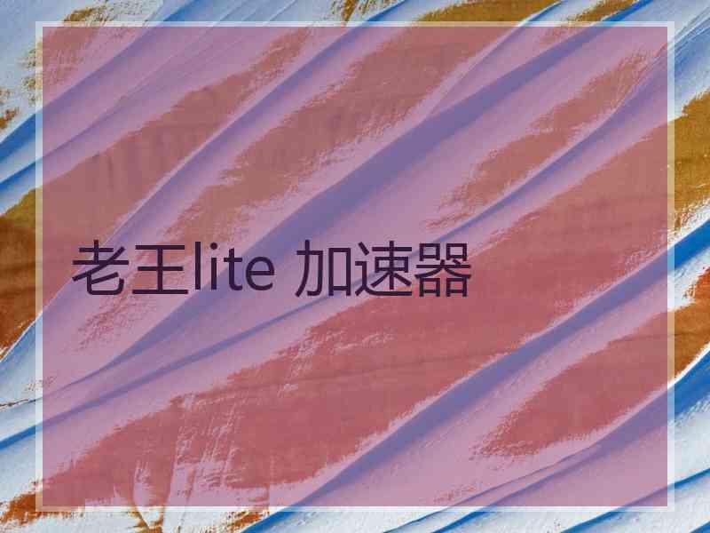 老王lite 加速器