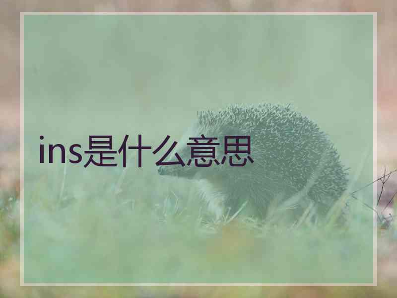 ins是什么意思