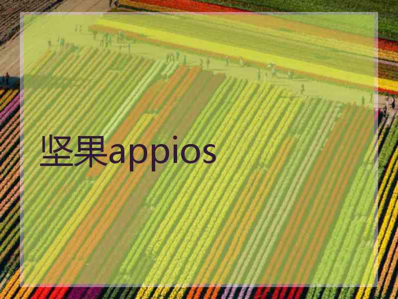 坚果appios