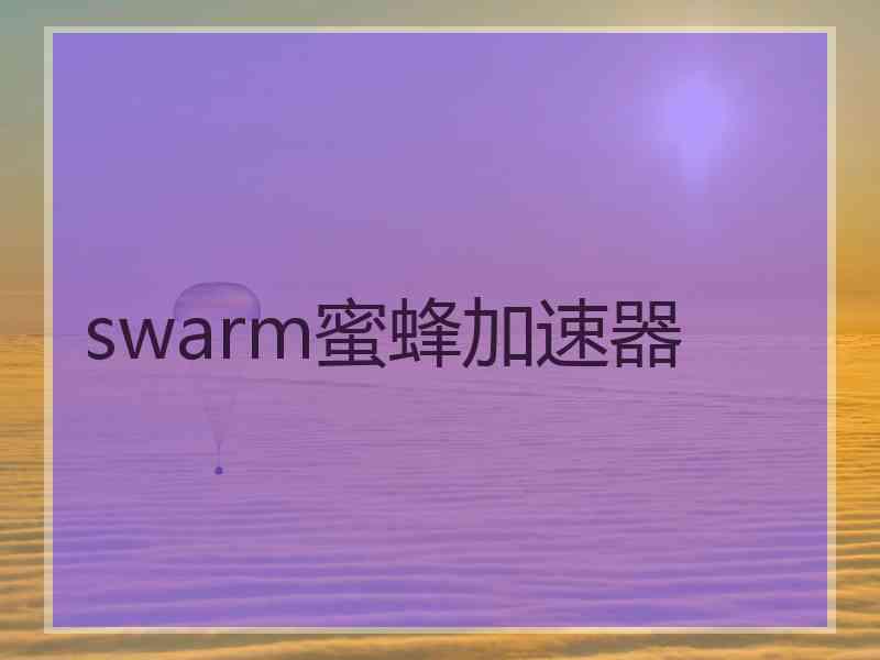 swarm蜜蜂加速器