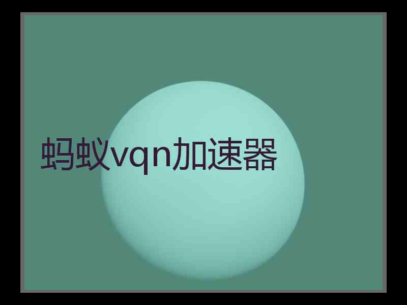 蚂蚁vqn加速器