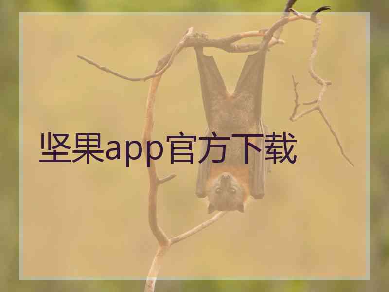 坚果app官方下载