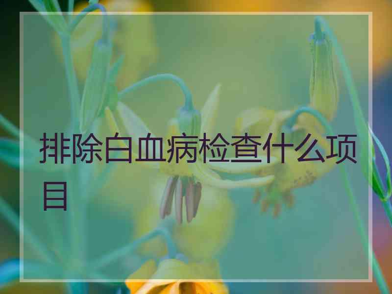 排除白血病检查什么项目