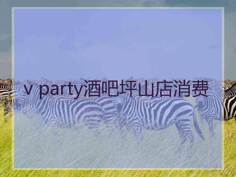 v party酒吧坪山店消费