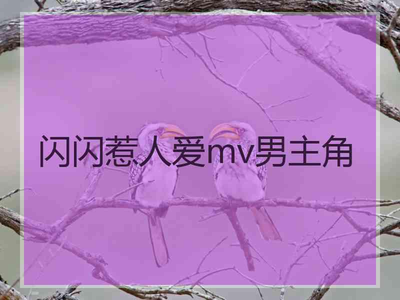 闪闪惹人爱mv男主角