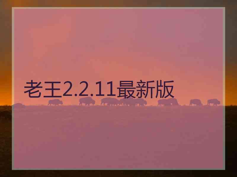 老王2.2.11最新版