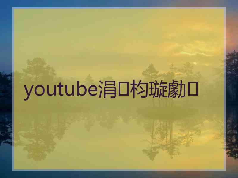 youtube涓枃璇勮