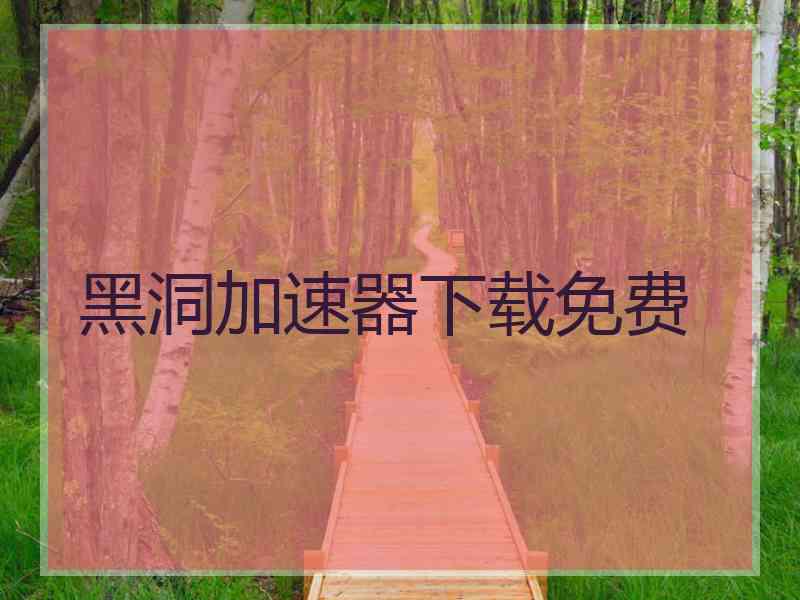 黑洞加速器下载免费