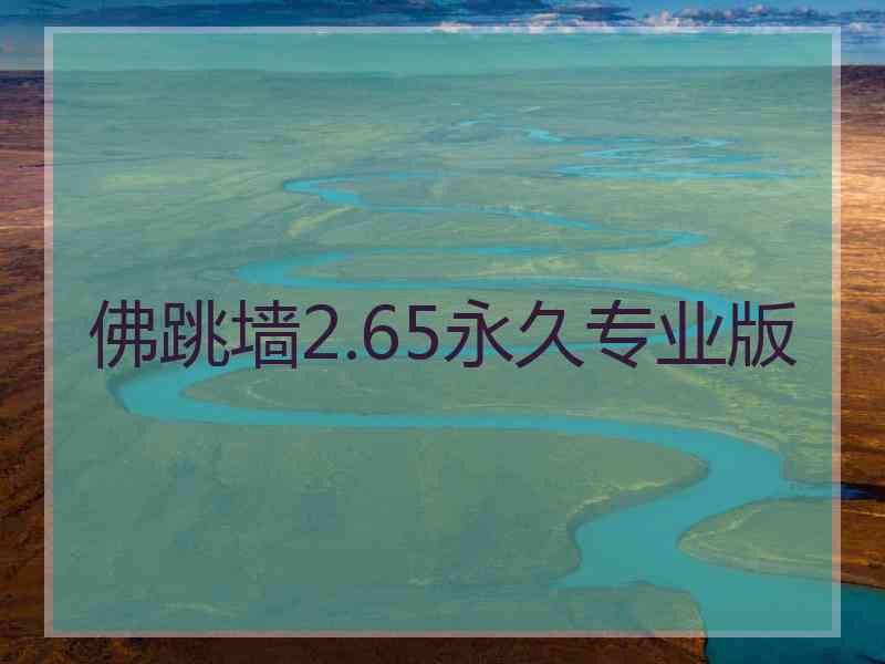 佛跳墙2.65永久专业版