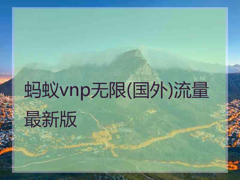 蚂蚁vnp无限(国外)流量最新版