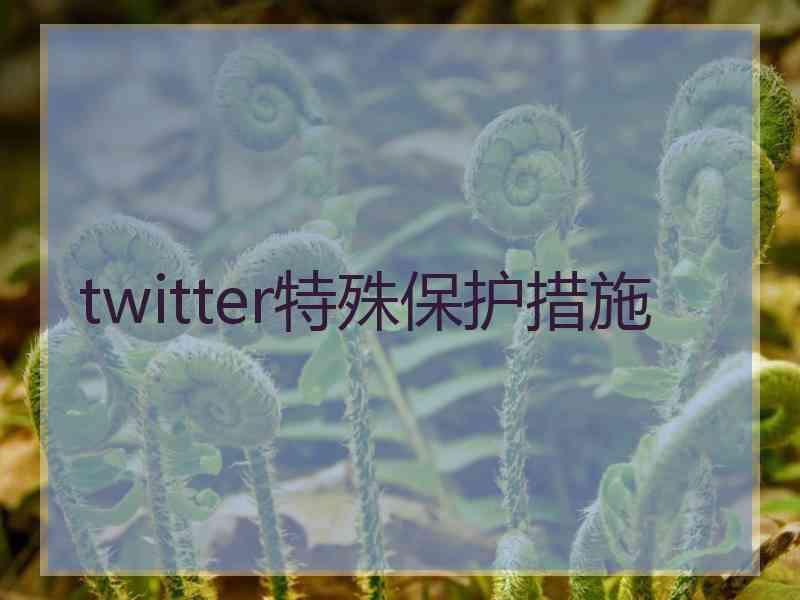 twitter特殊保护措施