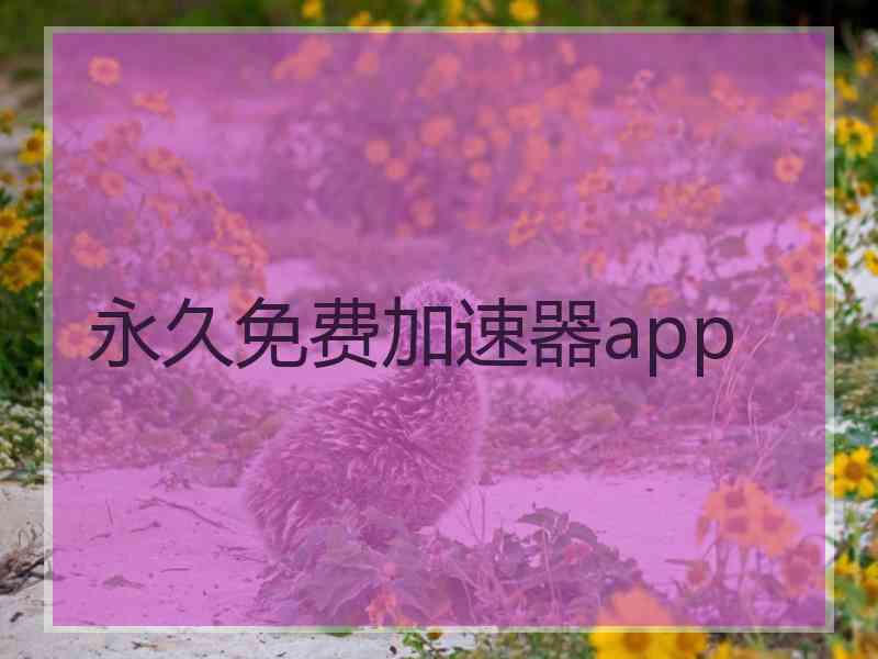 永久免费加速器app