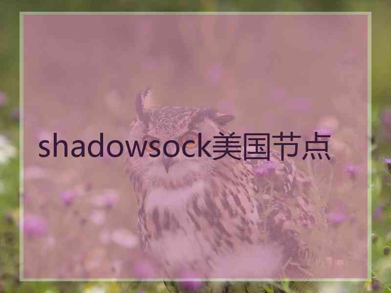 shadowsock美国节点