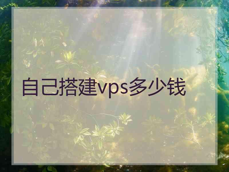 自己搭建vps多少钱