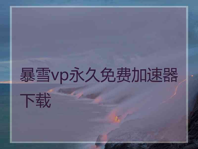 暴雪vp永久免费加速器下载